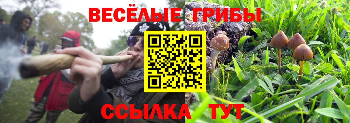 Псилоцибиновые грибы Cubensis  Вход с VPN  Нягань 