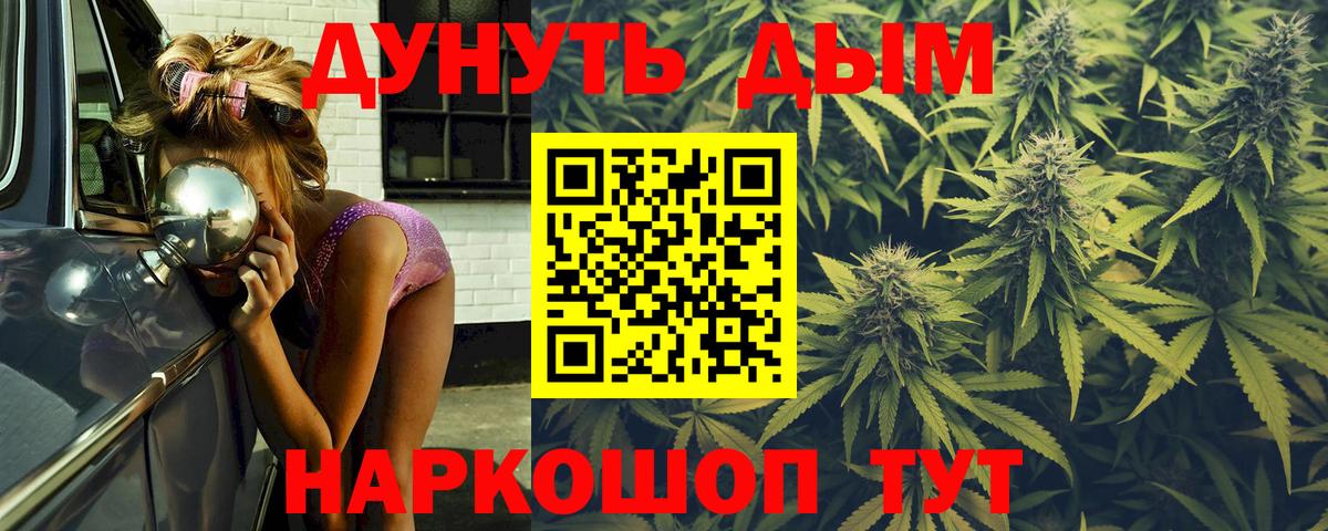 Конопля сатива Нягань